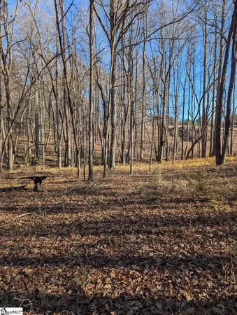 $19,500 | 0 Pleasant Hill Court, Central, SC 29630