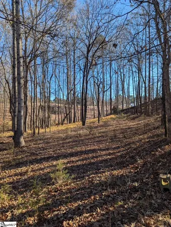 $19,500 | 0 Pleasant Hill Court, Central, SC 29630