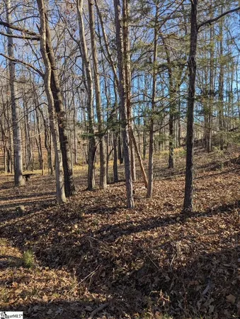 $19,500 | 0 Pleasant Hill Court, Central, SC 29630