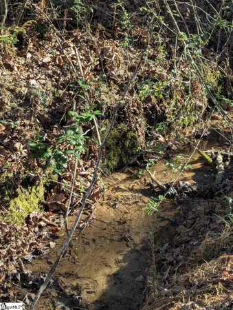 $19,500 | 0 Pleasant Hill Court, Central, SC 29630