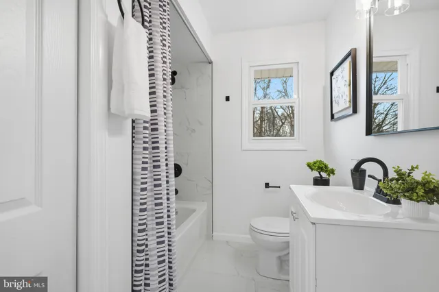 a bathroom with a toilet a sink and a large mirror