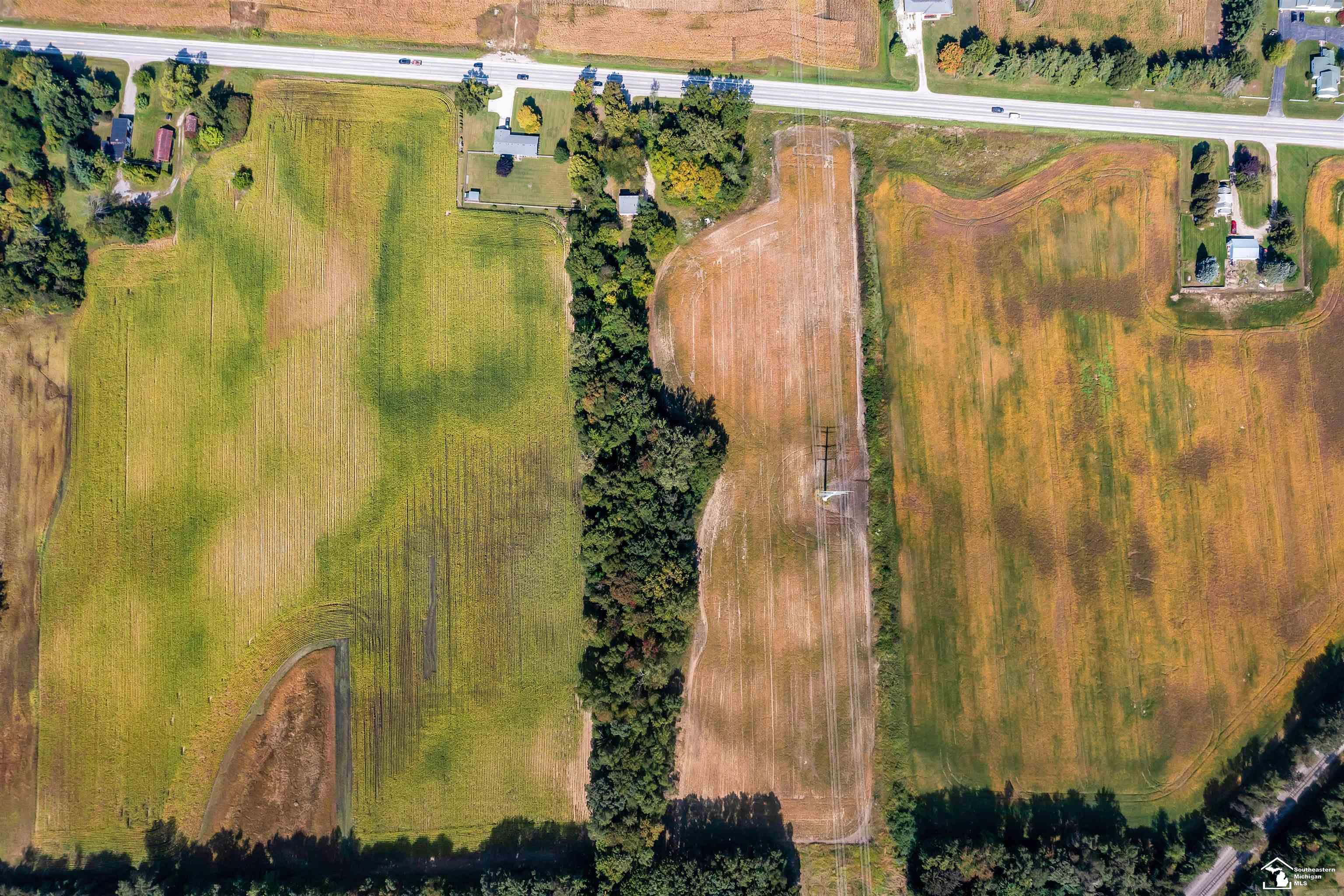 13009 South Custer Road Dundee, MI 48131 - Photo 35 of 39