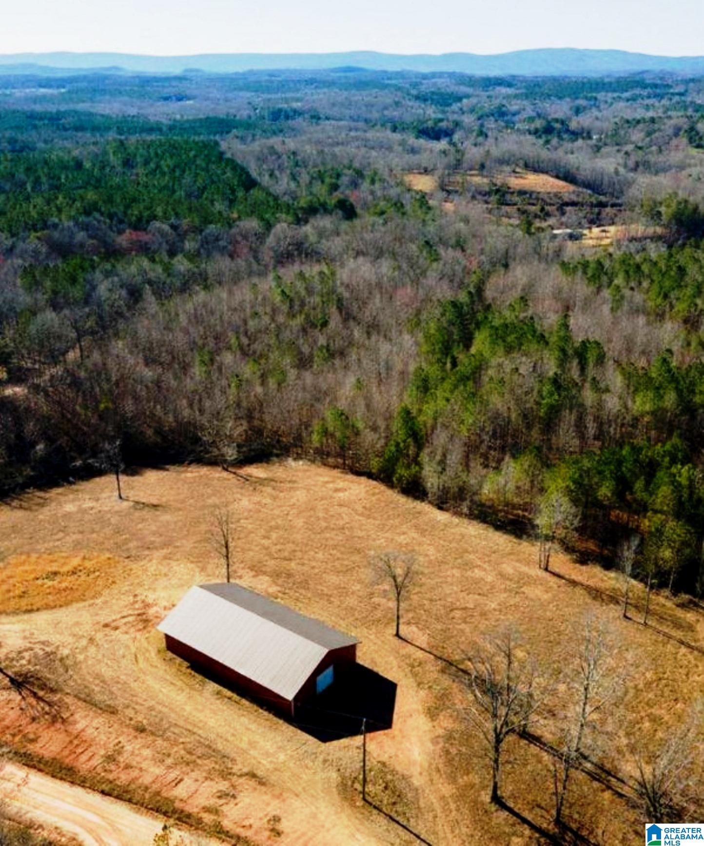 Mt Moriah School Road, Unit 7 15 Delta, AL 36258 - Photo 7 of 9
