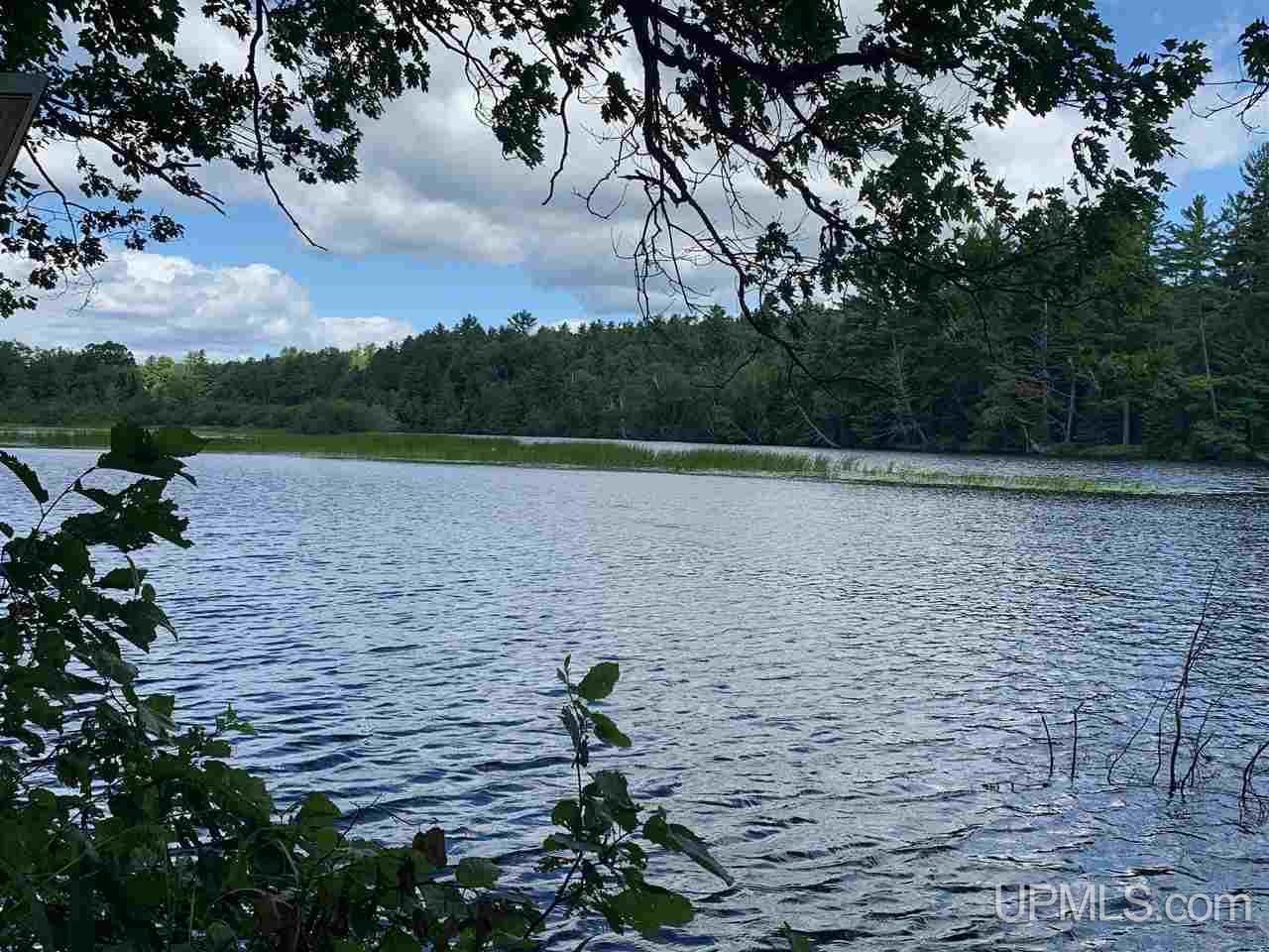 T-wi River Forest Road, Unit 10 Florence, WI 54121 - Photo 1 of 6