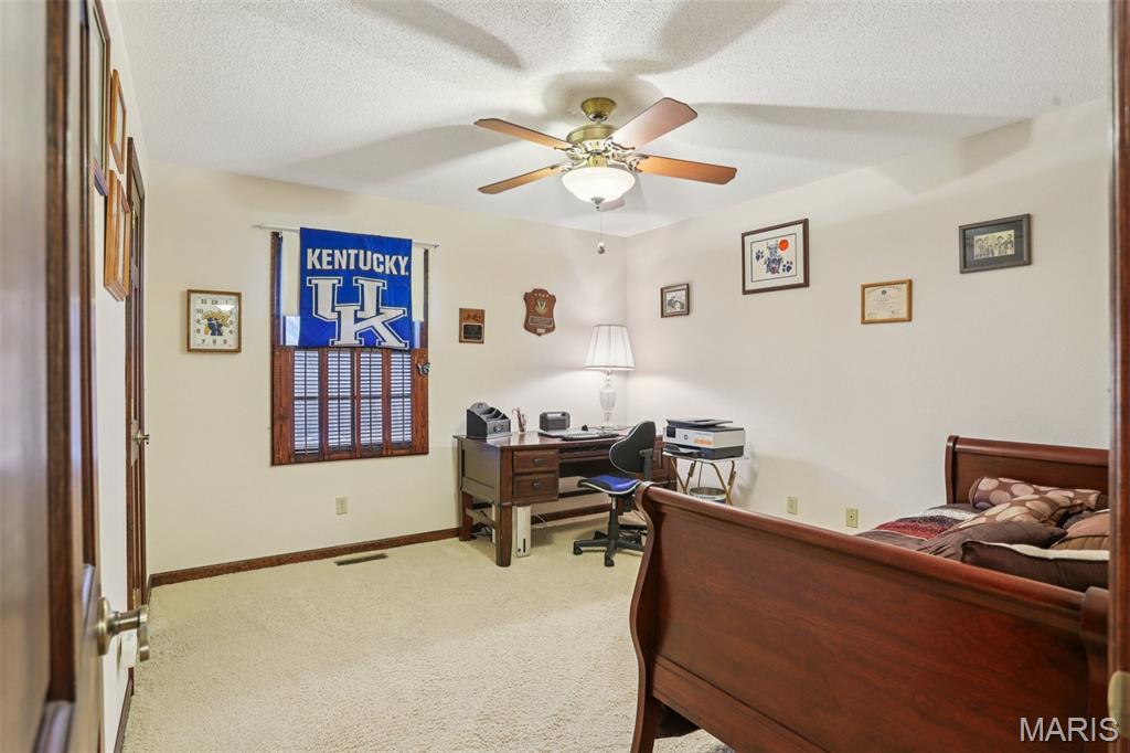 4 Cedar Point Collinsville, IL 62234 - Photo 28 of 52