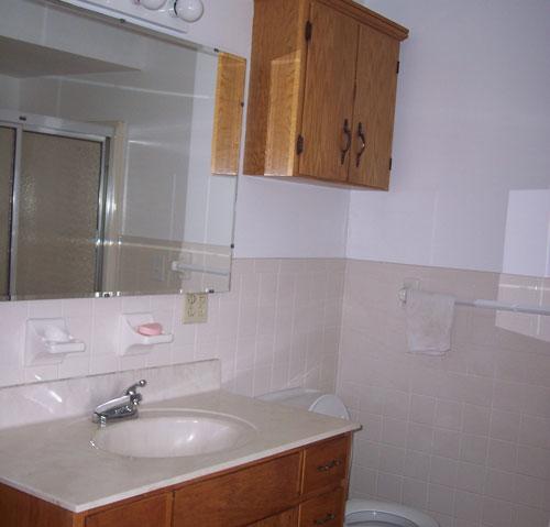 9890 Stewartsville Road Goodview, VA 24095 - Photo 5 of 16 a bathroom with a sink and a mirror