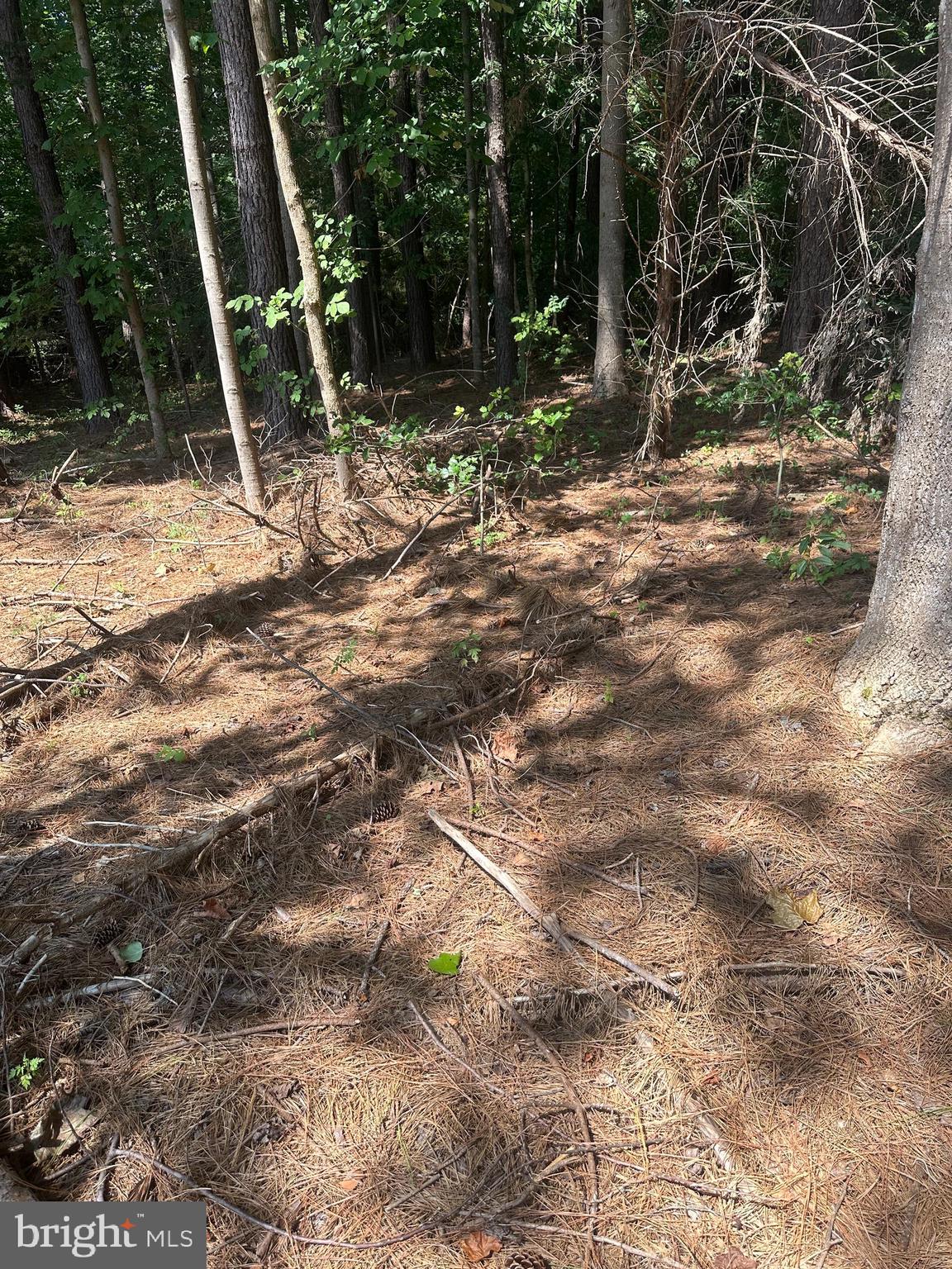 Lot 51 Days Bridge Road Mineral, VA 23117 - Photo 7 of 7 Gallery Image 7