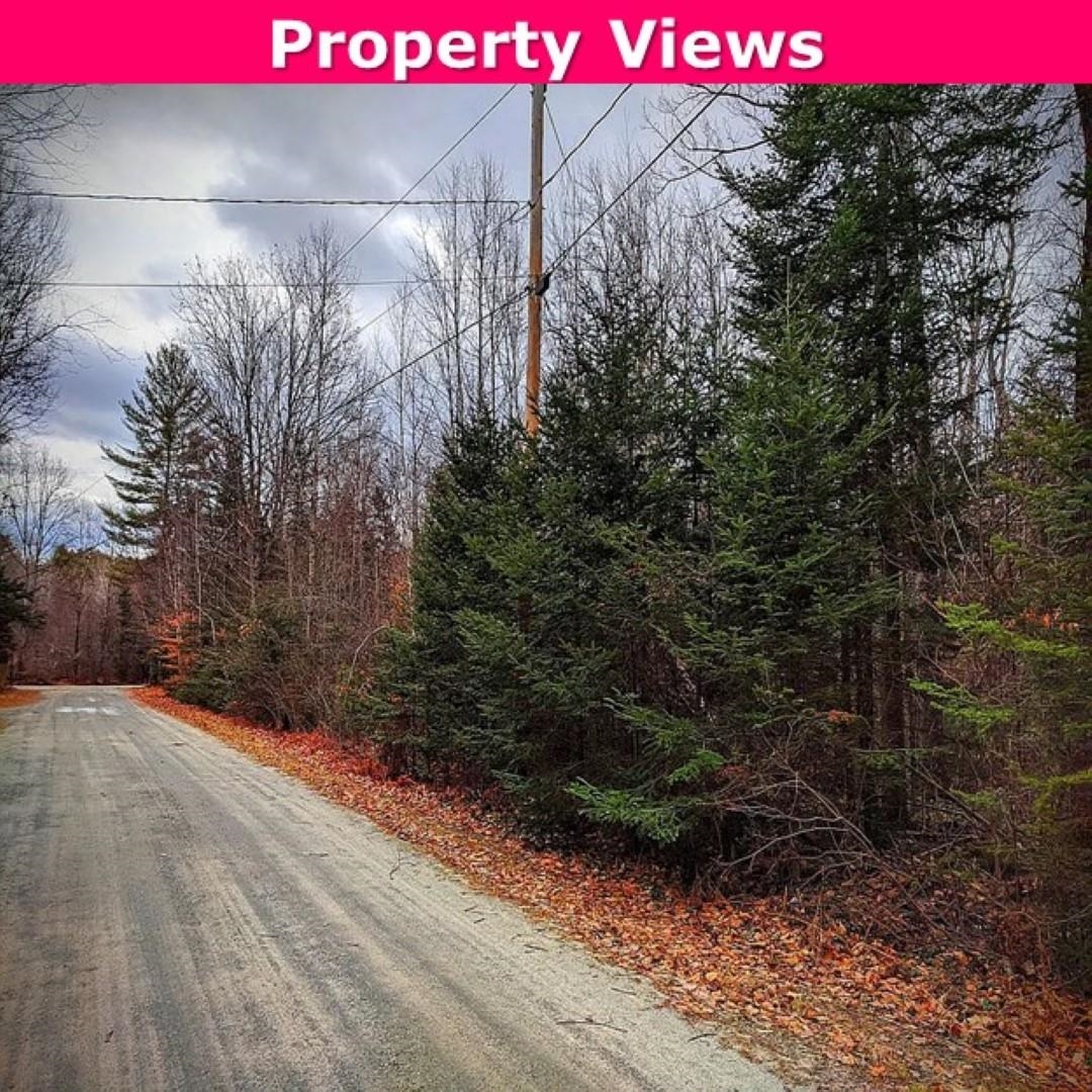 0 Brook Road Springfield, NH 03284 - Photo 4 of 6