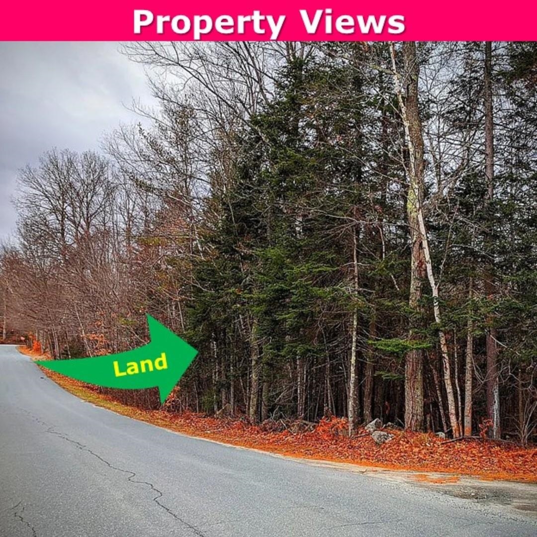 0 Brook Road Springfield, NH 03284 - Photo 5 of 6