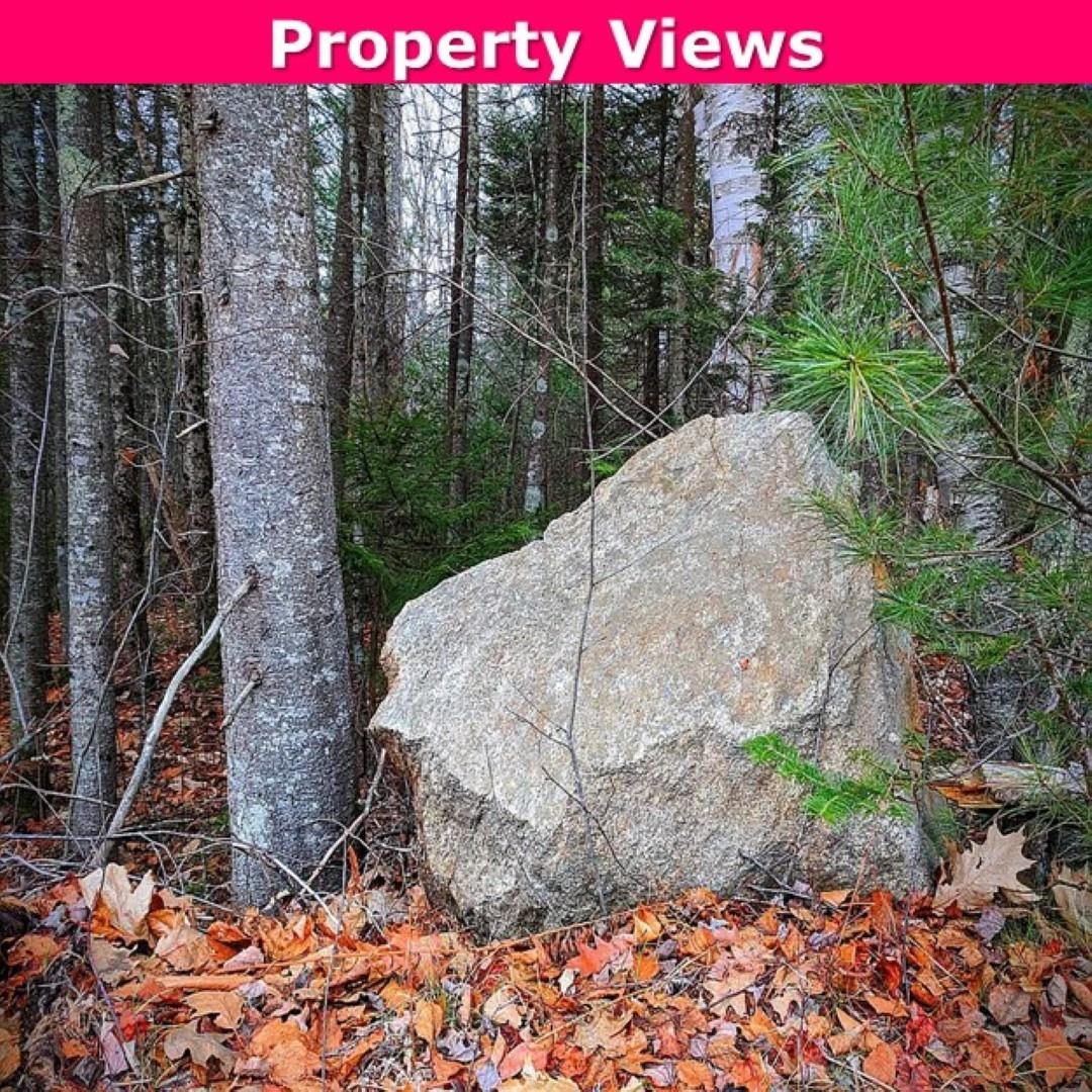 0 Brook Road Springfield, NH 03284 - Photo 6 of 6