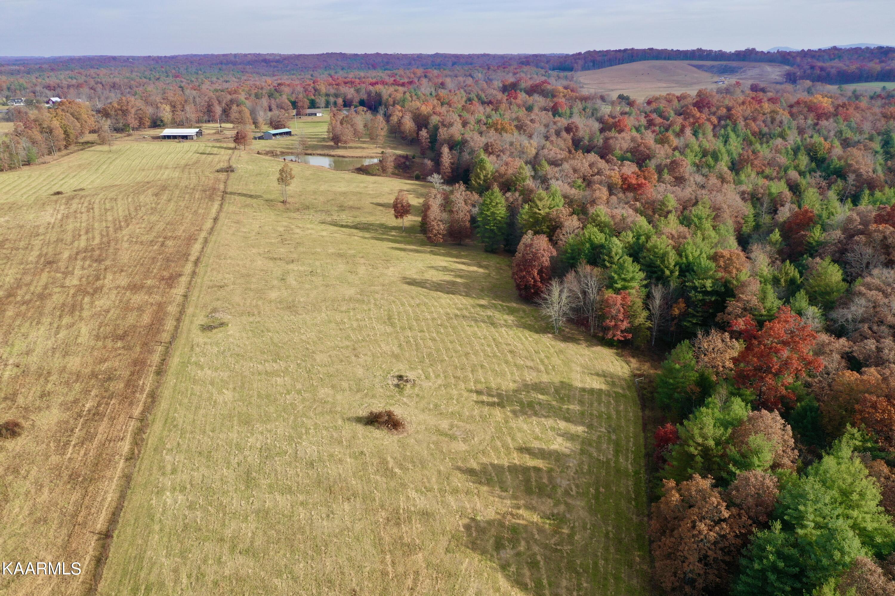 525 Island Ford Road Lancing, TN 37770 - Photo 1 of 59 DJI_0216