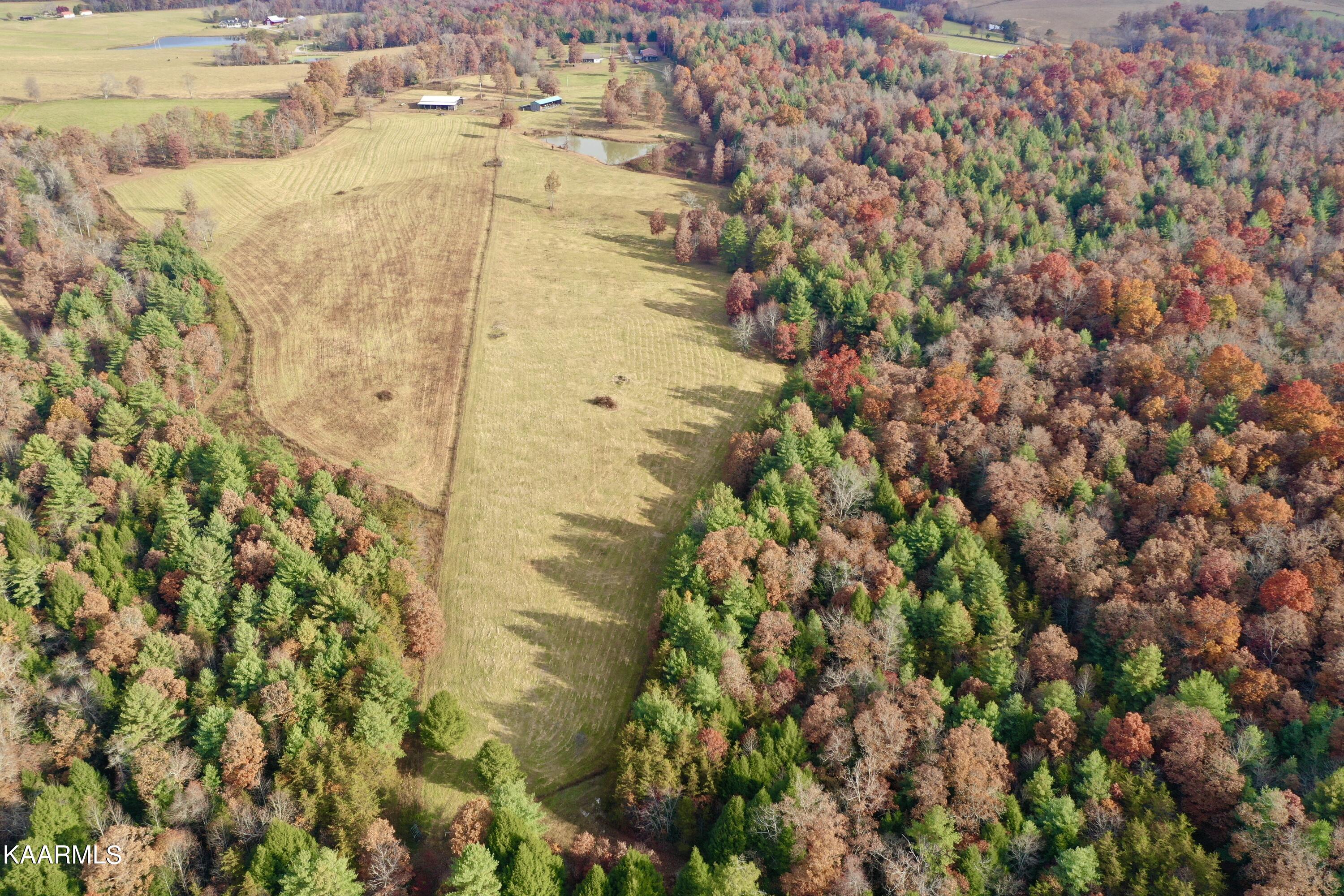 525 Island Ford Road Lancing, TN 37770 - Photo 16 of 59 4