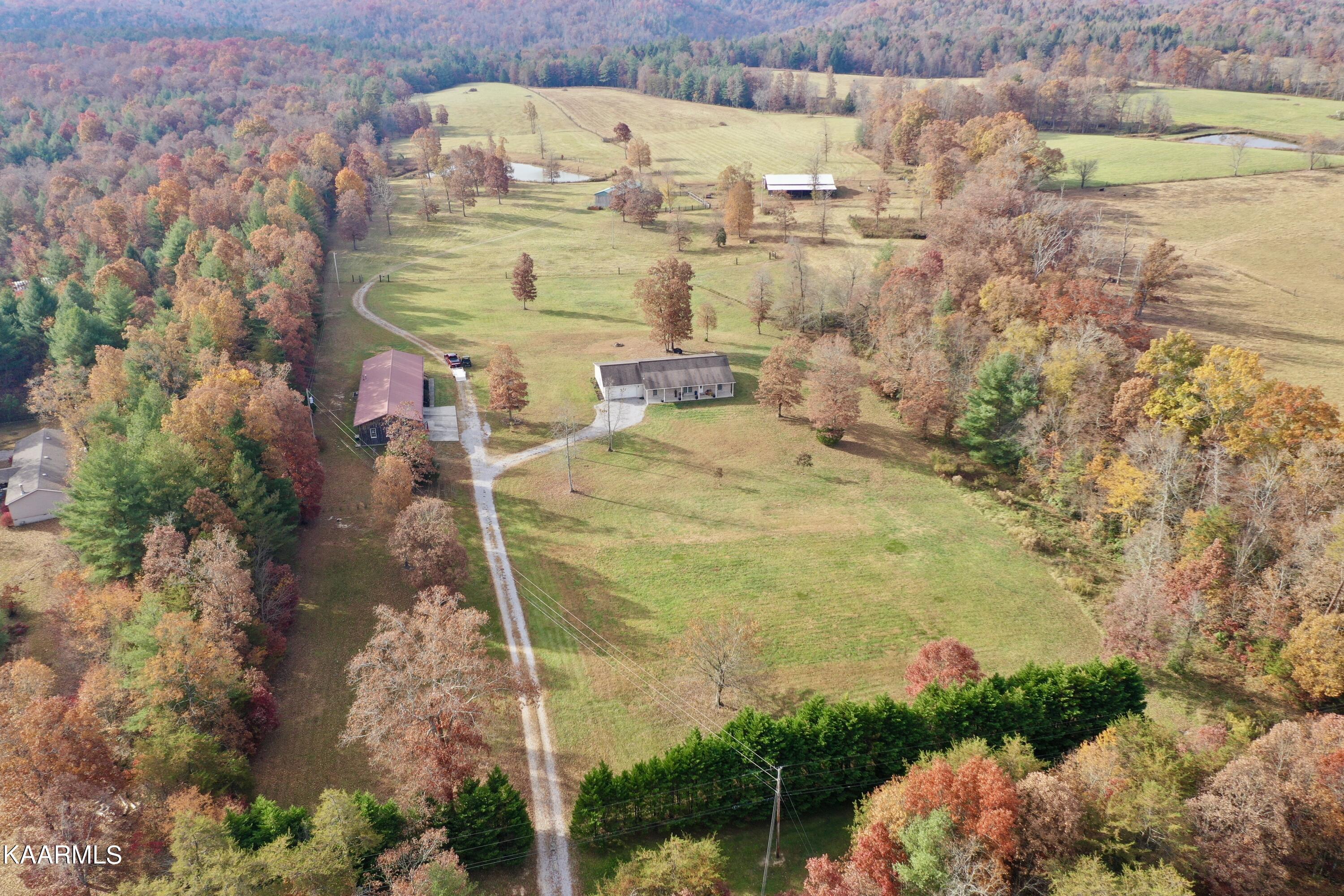 525 Island Ford Road Lancing, TN 37770 - Photo 3 of 59 49