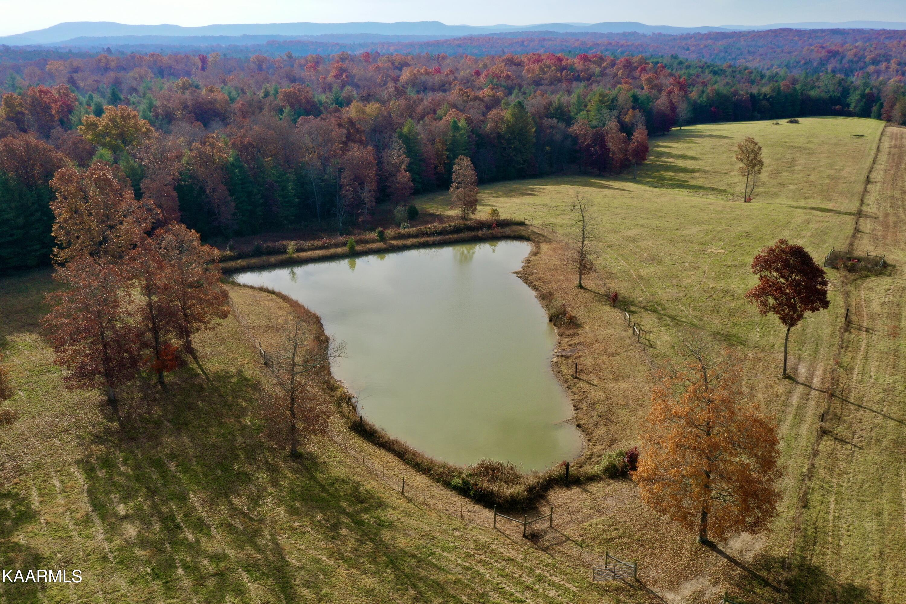 525 Island Ford Road Lancing, TN 37770 - Photo 5 of 59 DJI_0207