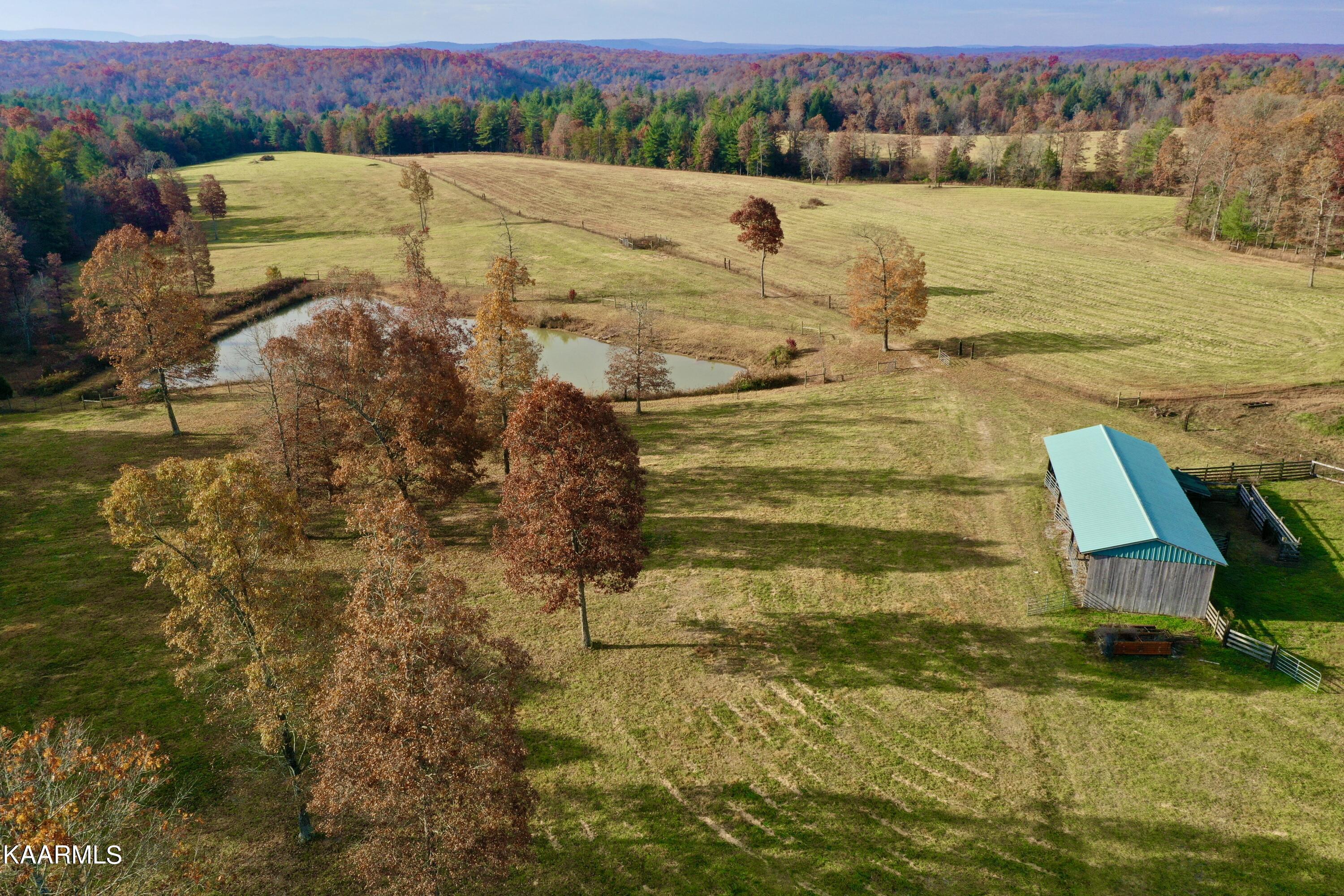 525 Island Ford Road Lancing, TN 37770 - Photo 7 of 59 8
