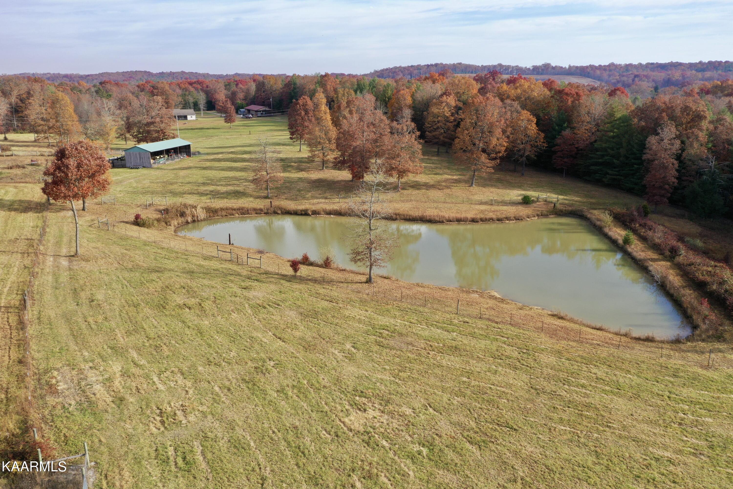 525 Island Ford Road Lancing, TN 37770 - Photo 10 of 59 3