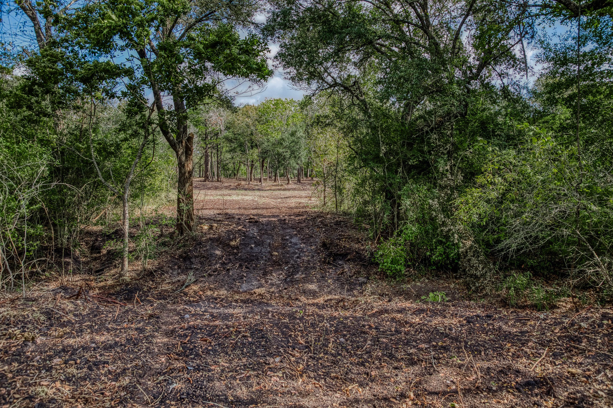 2 Sun Oil Road Brenham, TX 77833 - Photo 20 of 35