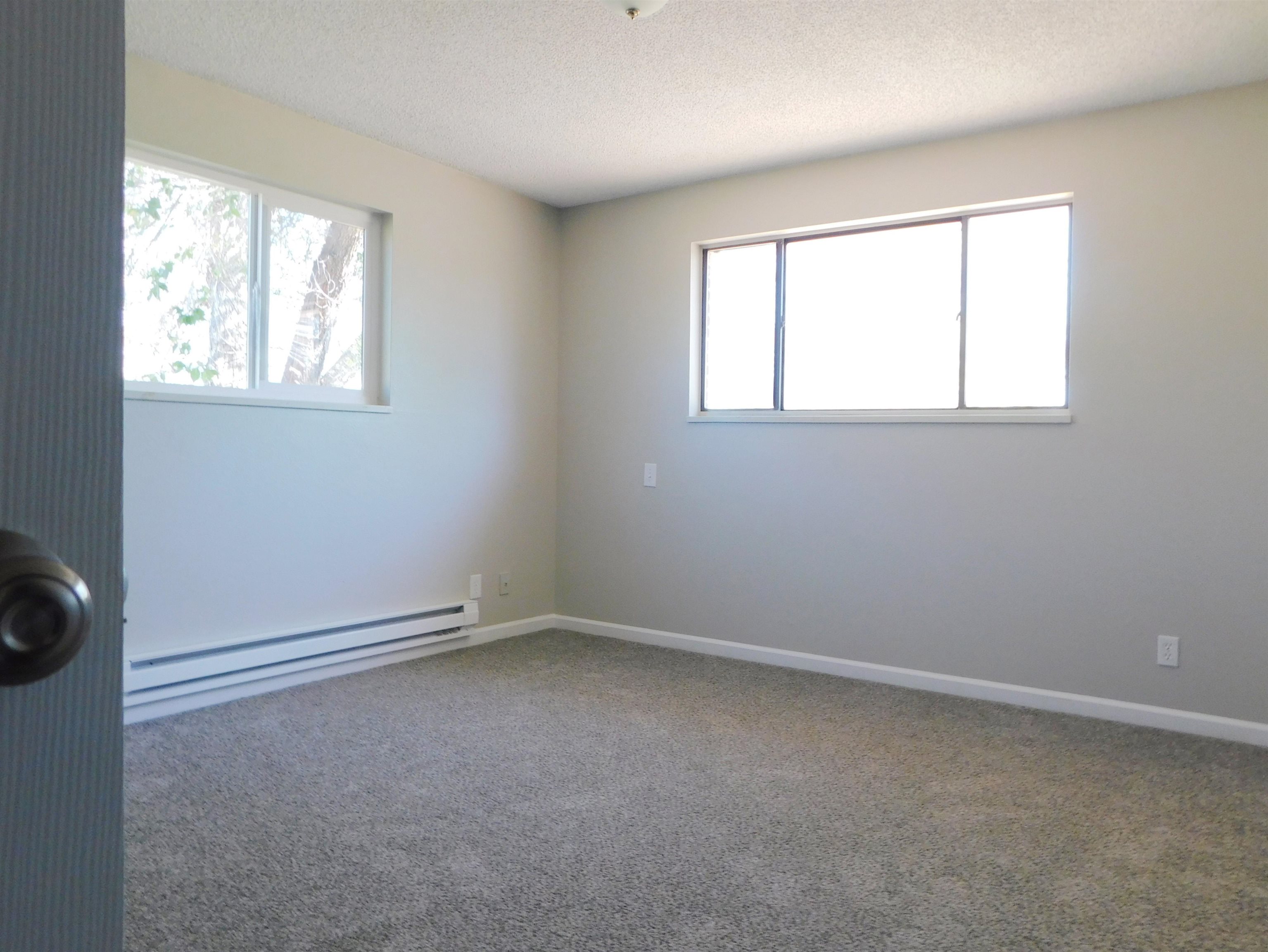 575 Northeast 4th Street Cedaredge, CO 81413 - Photo 11 of 11