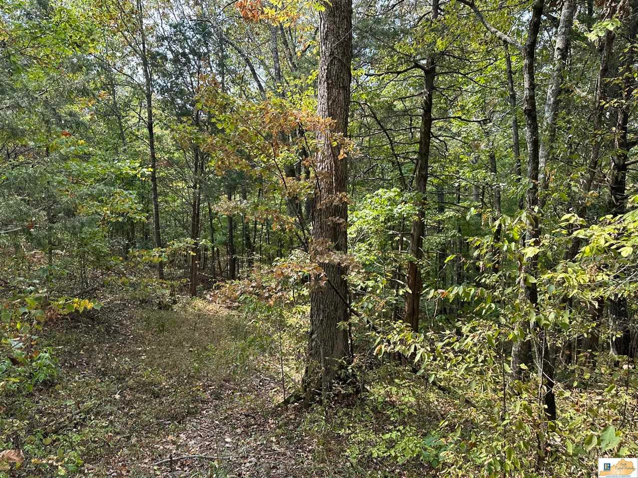 8923 Greensburg Road Edmonton, KY 42129 - Photo 14 of 29 Gallery Image 14