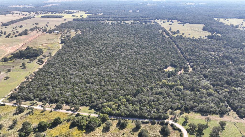 0 Easley Road Smithville, TX 78957 - Photo 2 of 9