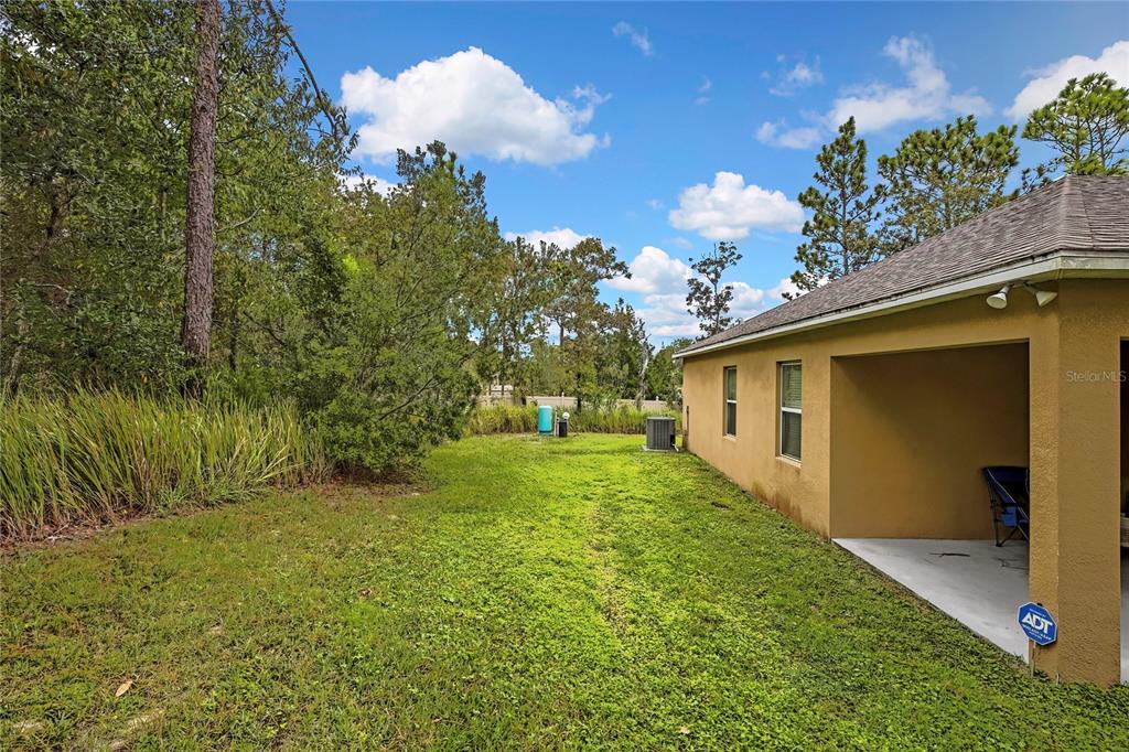 16197 Medrick Road Weeki Wachee, FL 34614 - Photo 19 of 22 a backyard of a house with lots of green space