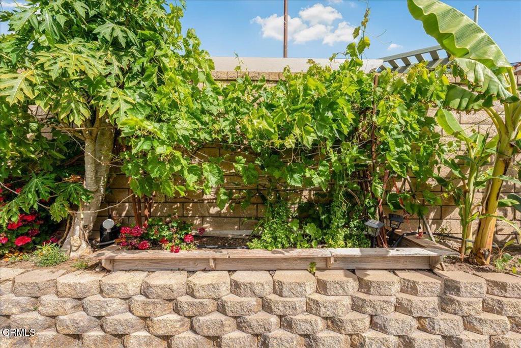 1129 1st Street Fillmore, CA 93015 - Photo 43 of 51
