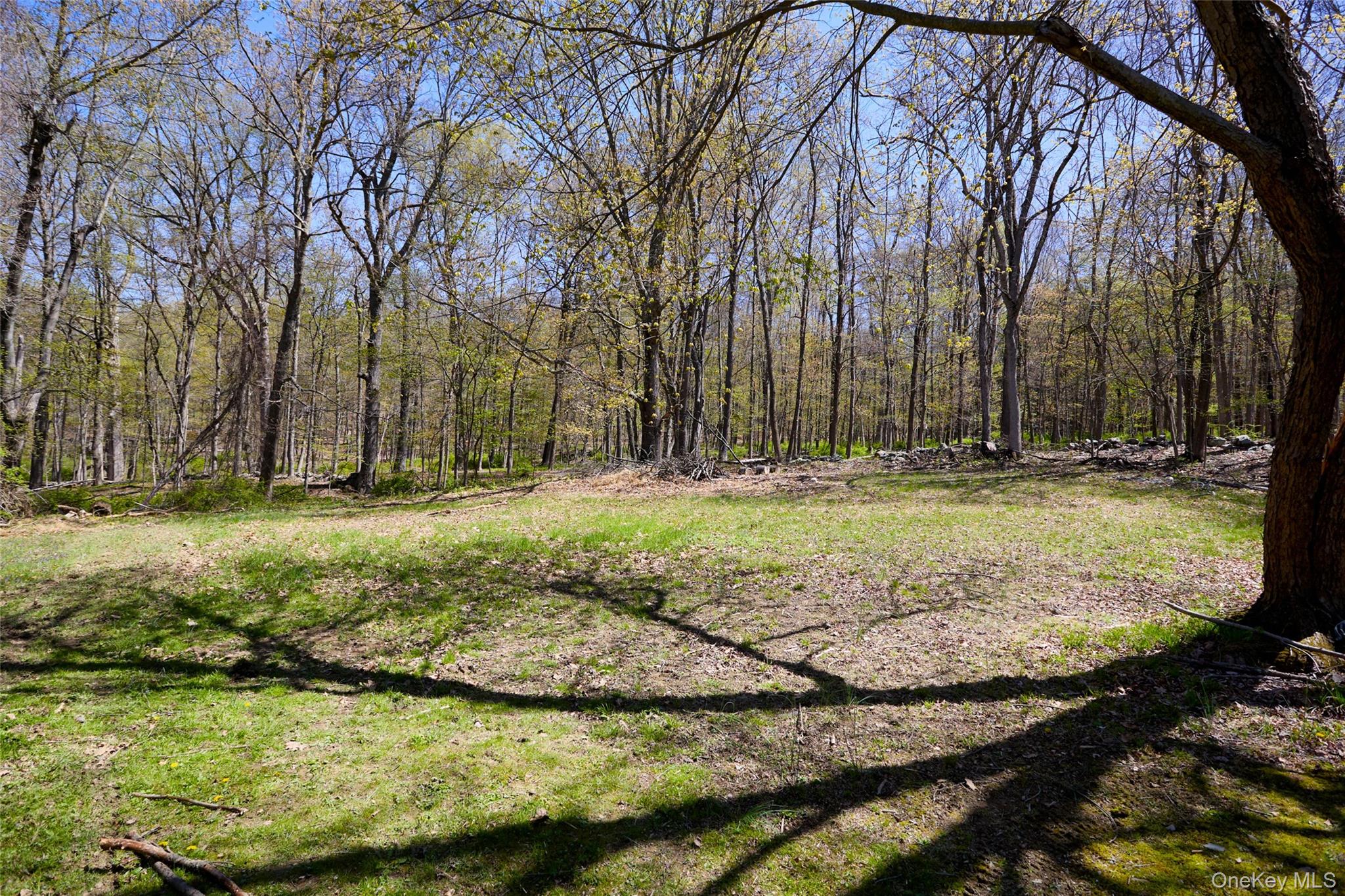 32 Cole Road Pleasant Valley, NY 12569 - Photo 5 of 45