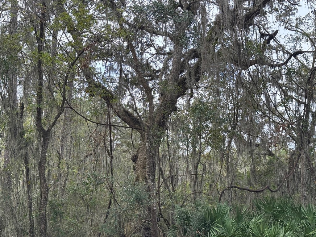6101 Frederica Road St. Simons Island, GA 31522 - Photo 13 of 13