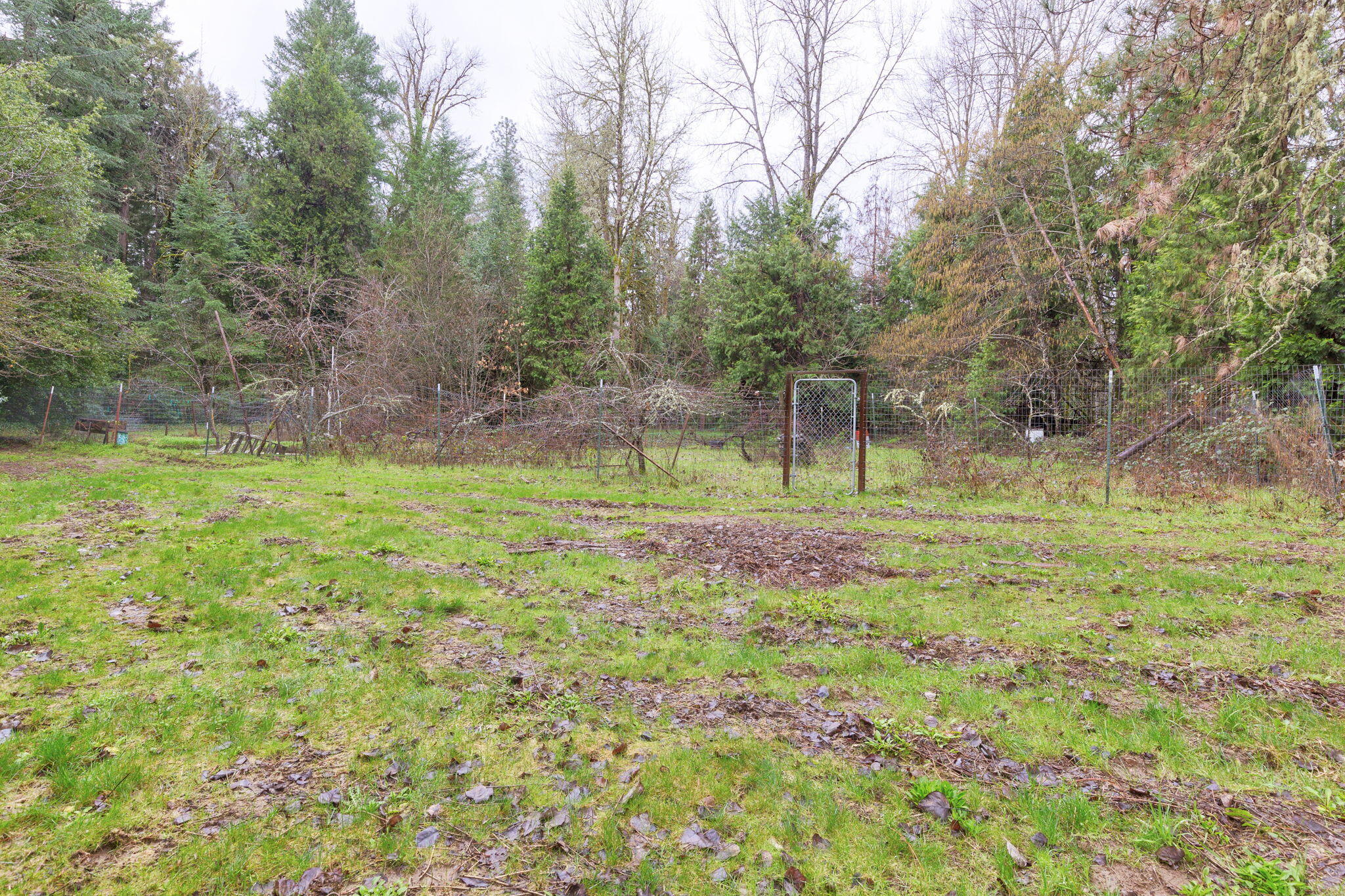 800 Hummingbird Road Cave Junction, OR 97523 - Photo 27 of 36 38-web-or-mls-800-hummingbird-rd