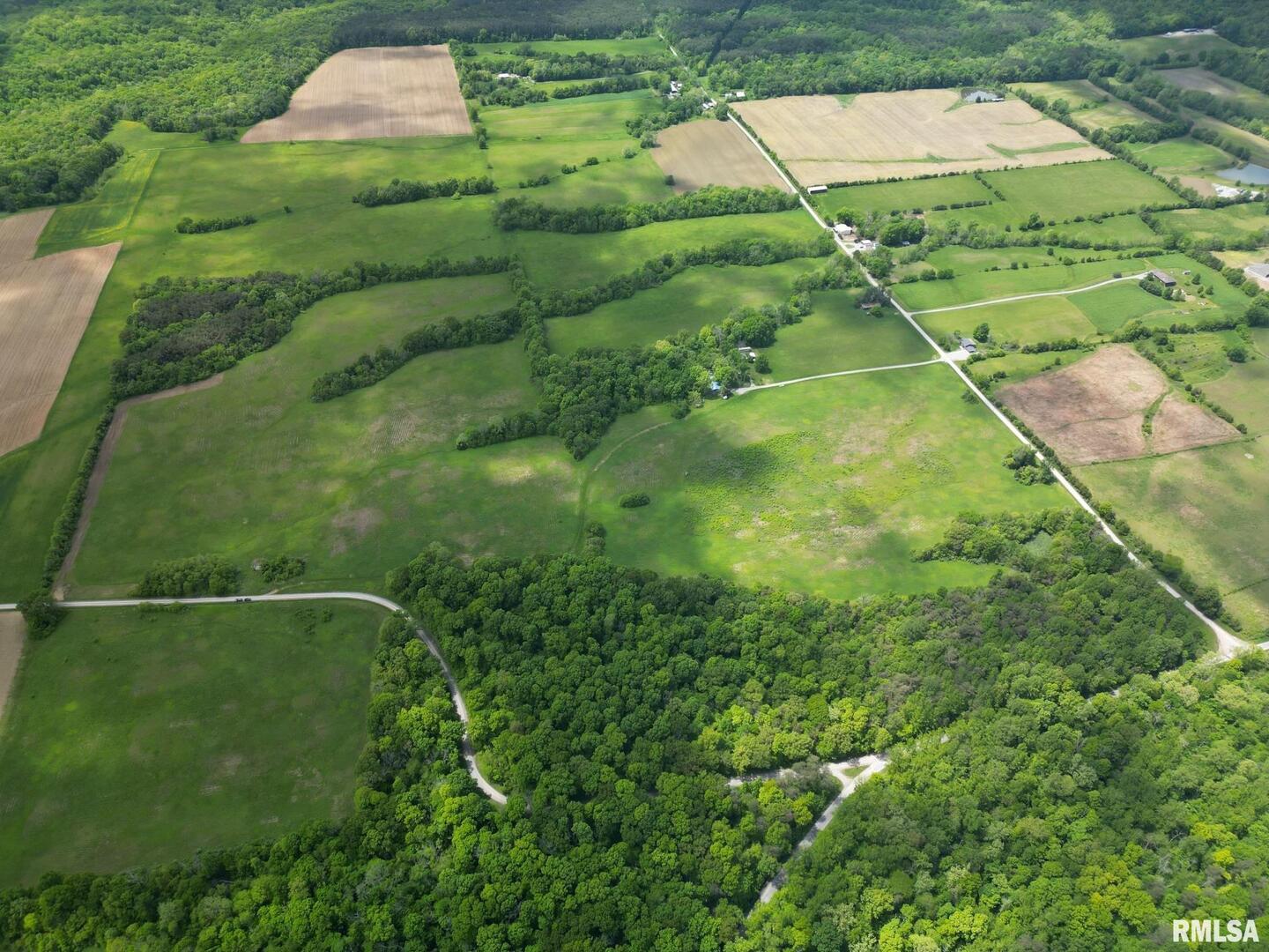 0 Norvell Road Simpson, IL 62985 - Photo 2 of 3 a backyard of a house with a yard and potted plants