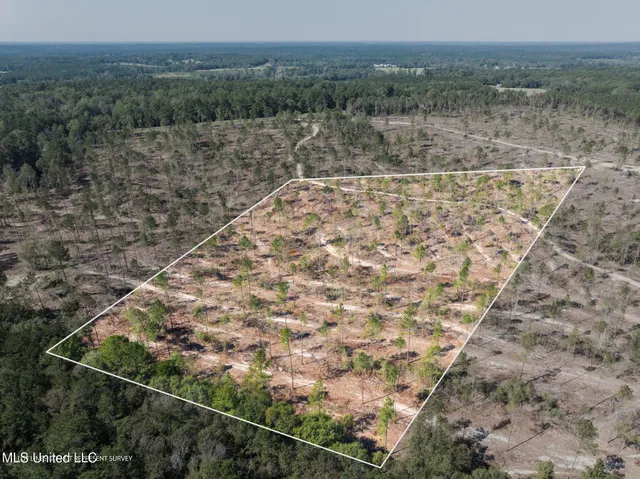 $54,900 | 8.24 Noel Townsend Road, Seminary, MS 39479