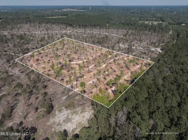 $54,900 | 8.24 Noel Townsend Road, Seminary, MS 39479