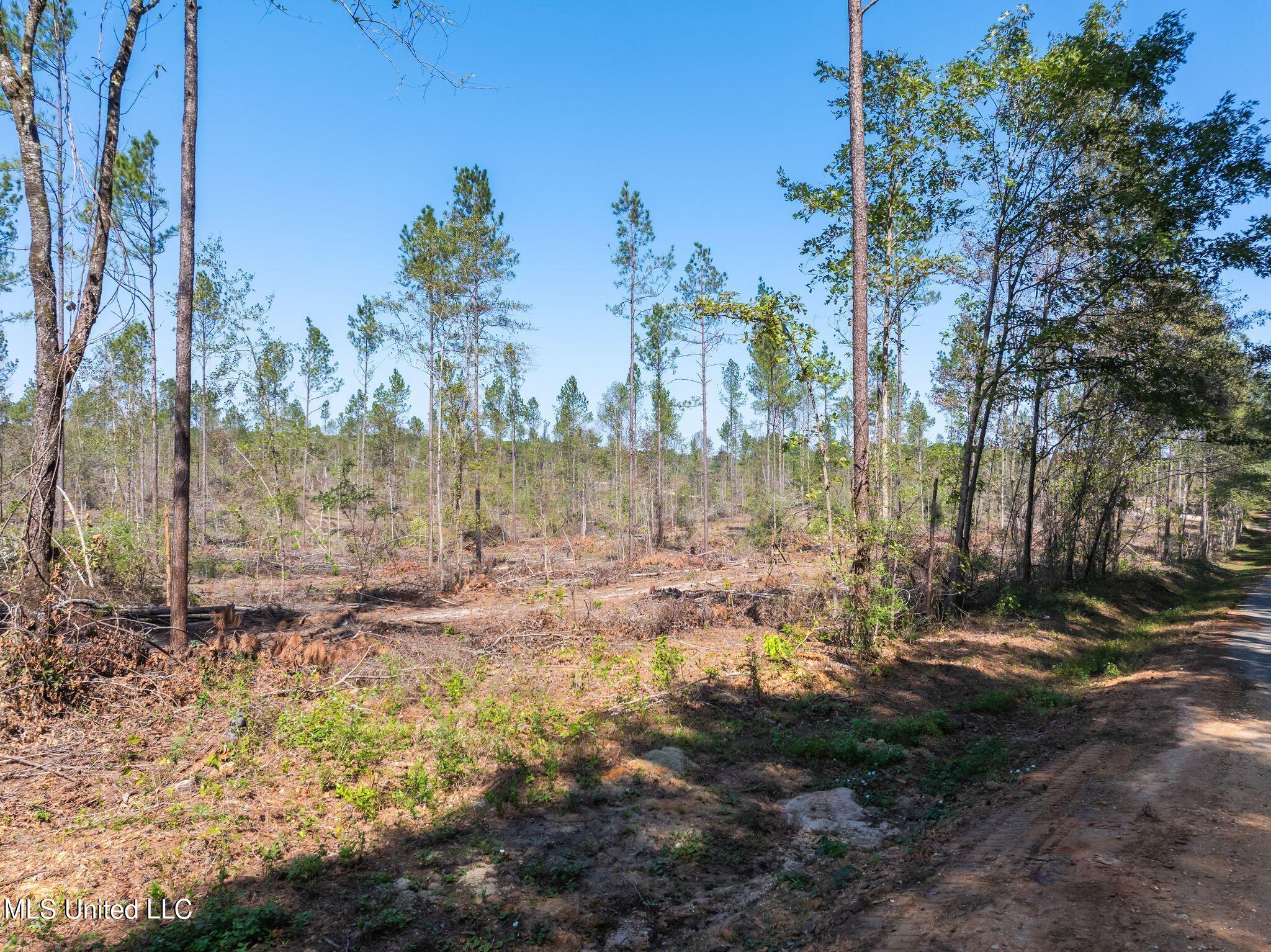 8.24 Noel Townsend Road Seminary, MS 39479 - Photo 3 of 9 Shirley_Sanford_Rd_8_24_AC-3