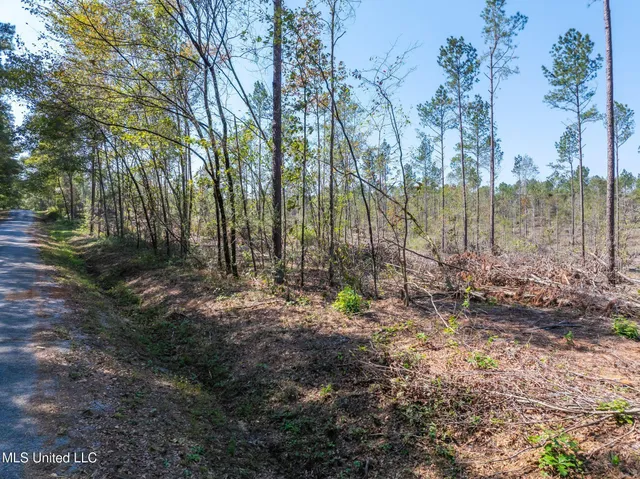 $54,900 | 8.24 Noel Townsend Road, Seminary, MS 39479