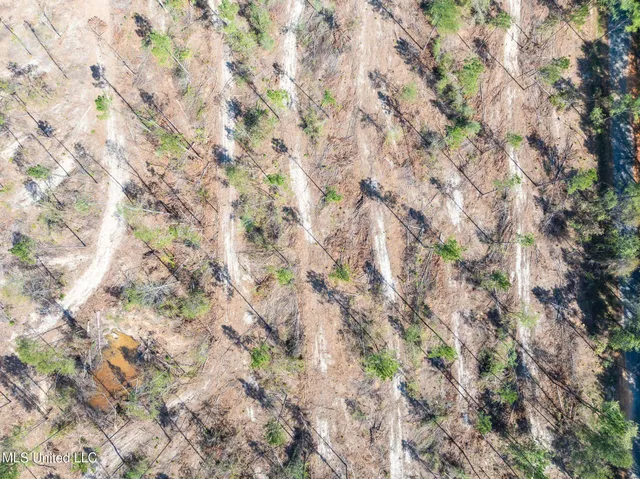 $54,900 | 8.24 Noel Townsend Road, Seminary, MS 39479