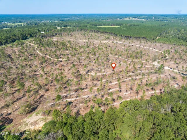 $54,900 | 8.24 Noel Townsend Road, Seminary, MS 39479