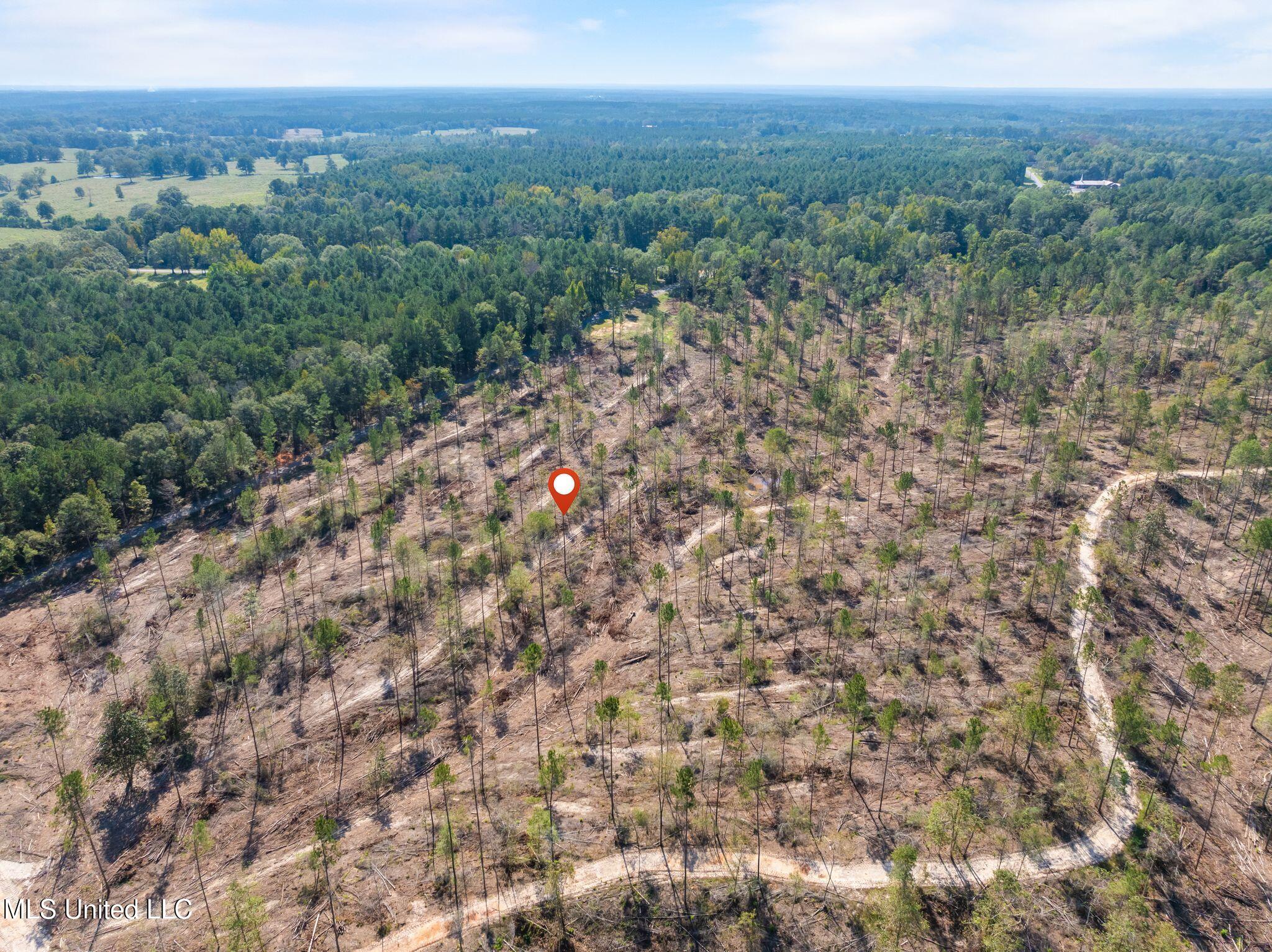 8.24 Noel Townsend Road Seminary, MS 39479 - Photo 7 of 9 Shirley_Sanford_Rd_8_24_AC-7