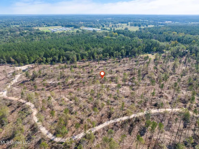 $54,900 | 8.24 Noel Townsend Road, Seminary, MS 39479