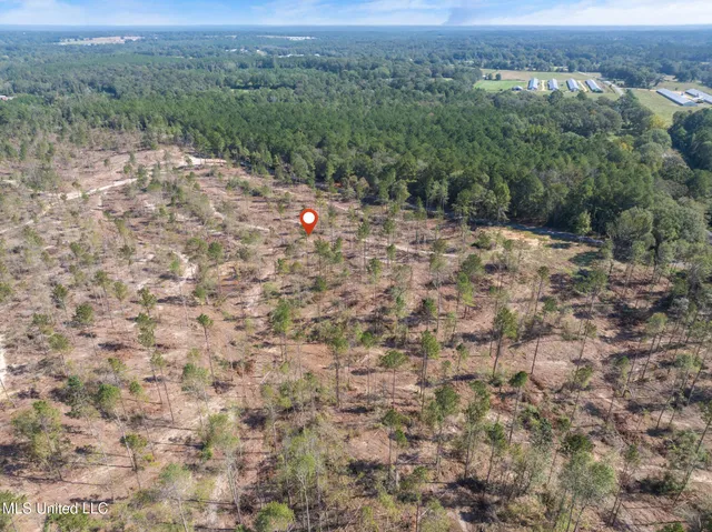 $54,900 | 8.24 Noel Townsend Road, Seminary, MS 39479