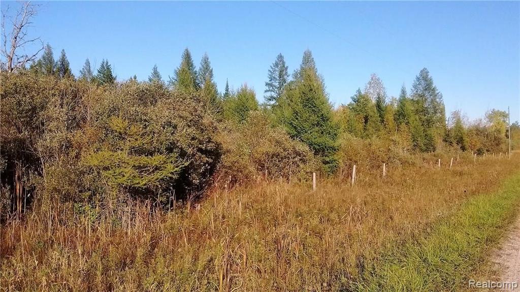 4950 East Levering Road Cheboygan, MI 49721 - Photo 1 of 7