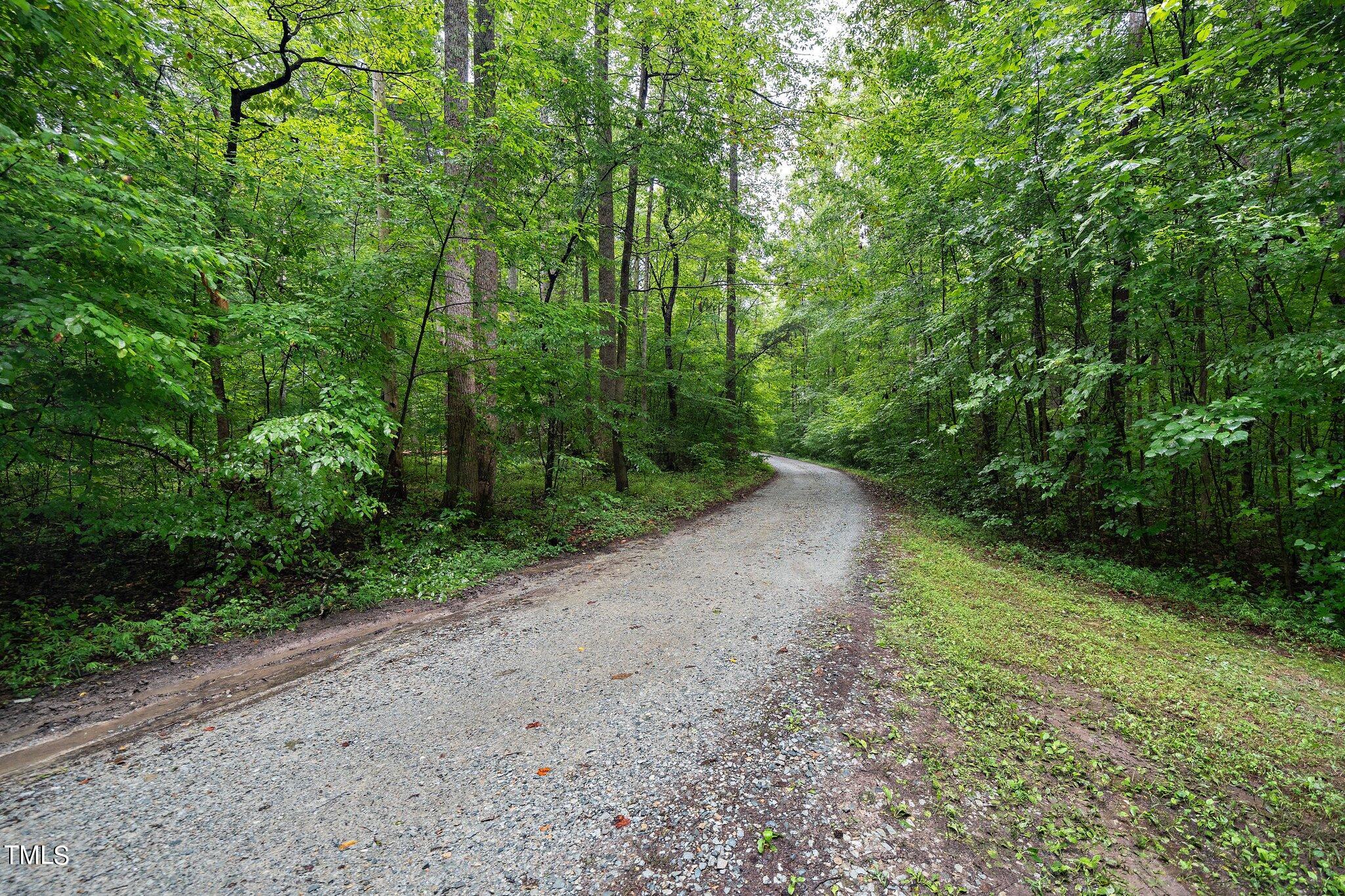 4427 Spring Meadows Road Hillsborough, NC 27278 - Photo 33 of 42 a view of a forest with trees in front of it