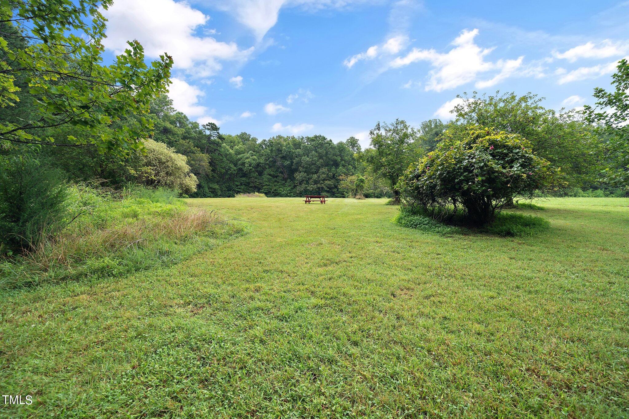 4427 Spring Meadows Road Hillsborough, NC 27278 - Photo 35 of 42 a view of an outdoor space and yard
