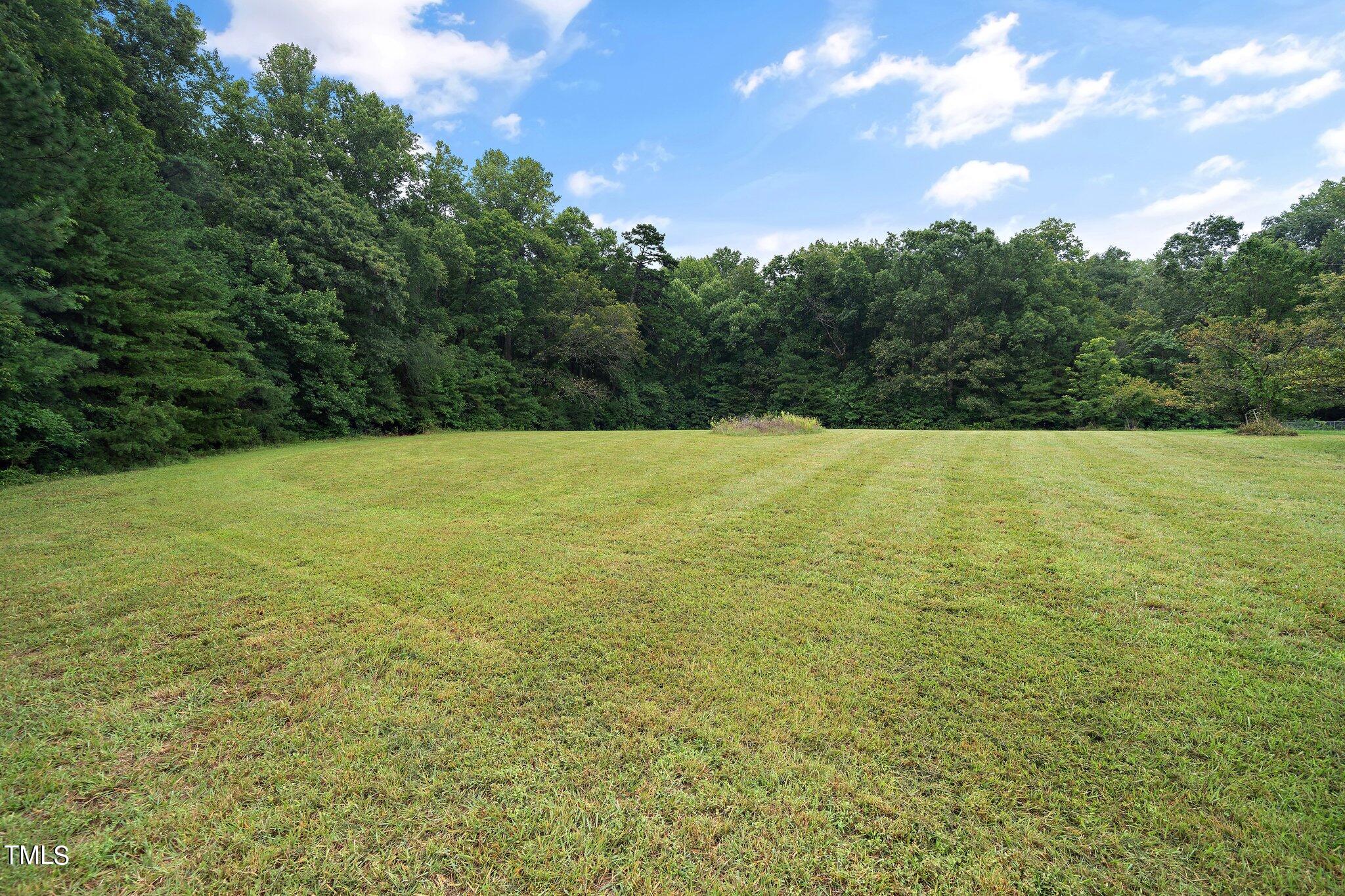 4427 Spring Meadows Road Hillsborough, NC 27278 - Photo 36 of 42 a view of outdoor space and yard