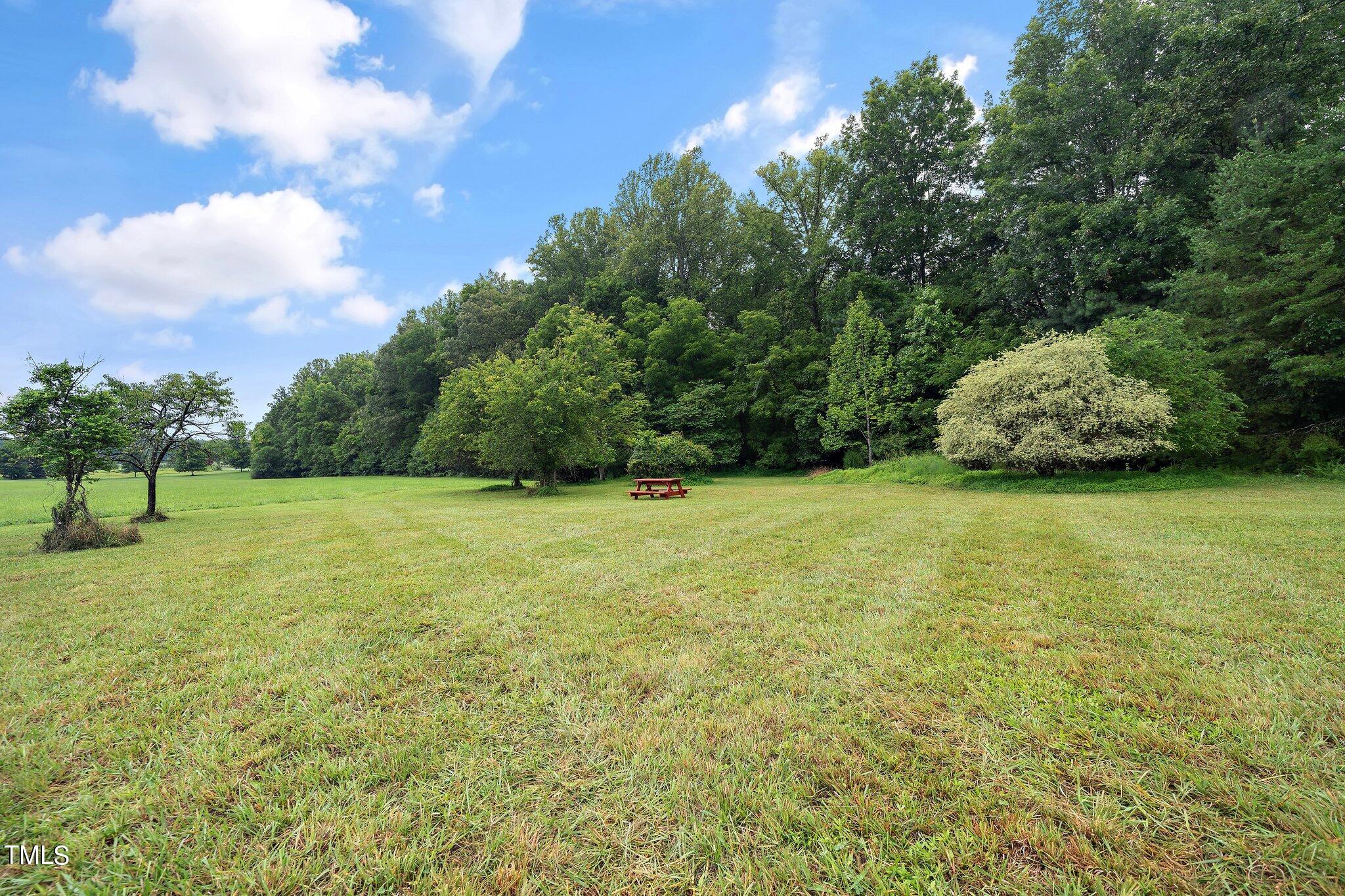 4427 Spring Meadows Road Hillsborough, NC 27278 - Photo 37 of 42 a view of a field with a trees