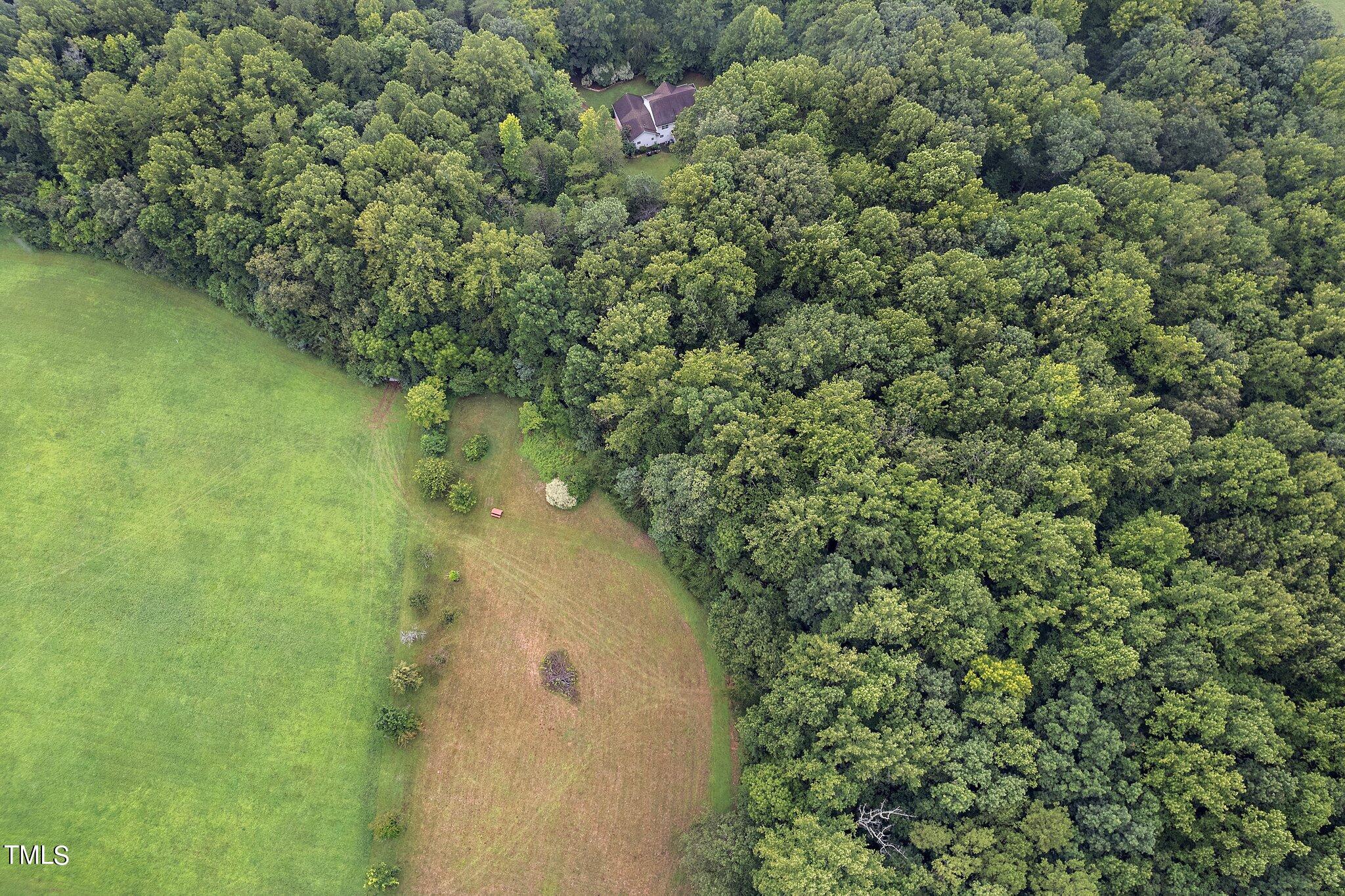 4427 Spring Meadows Road Hillsborough, NC 27278 - Photo 40 of 42 a view of a lake from a forest