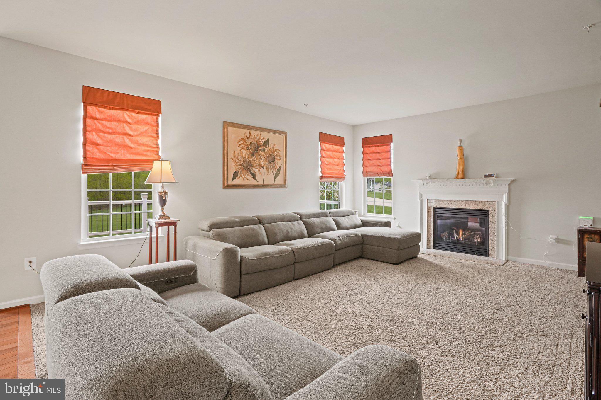 9309 Mount Vernon Way Fort Washington, MD 20744 - Photo 7 of 24 a living room with furniture window and a fireplace
