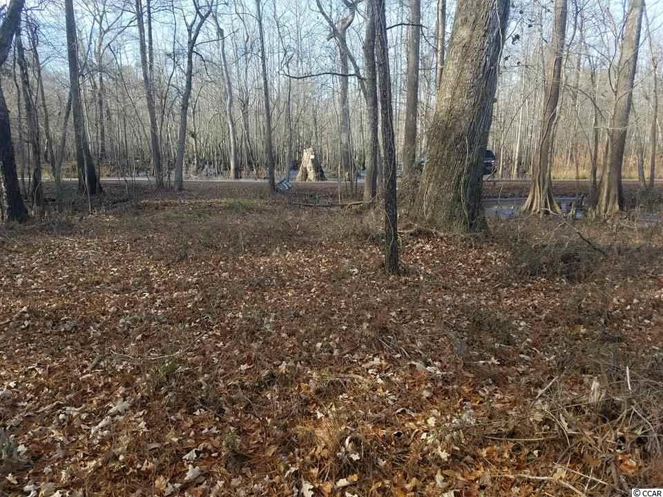 Lot 30 Rowe Pond Road Conway, SC 29526 - Photo 1 of 2 Gallery Image 1