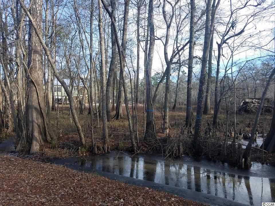Lot 30 Rowe Pond Road Conway, SC 29526 - Photo 2 of 2 Gallery Image 2