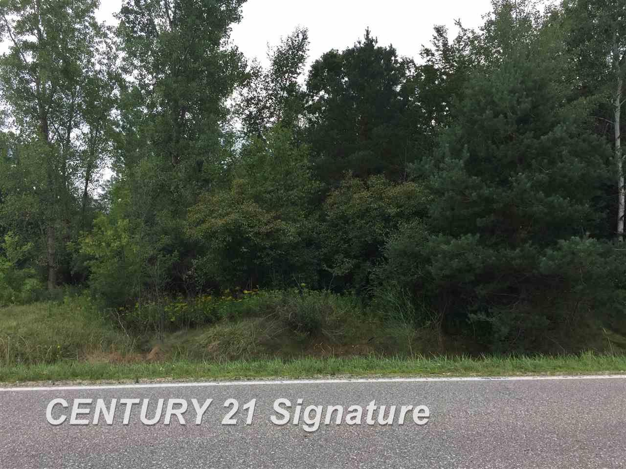 1166 East Freeland Road Merrill, MI 48637 - Photo 1 of 5