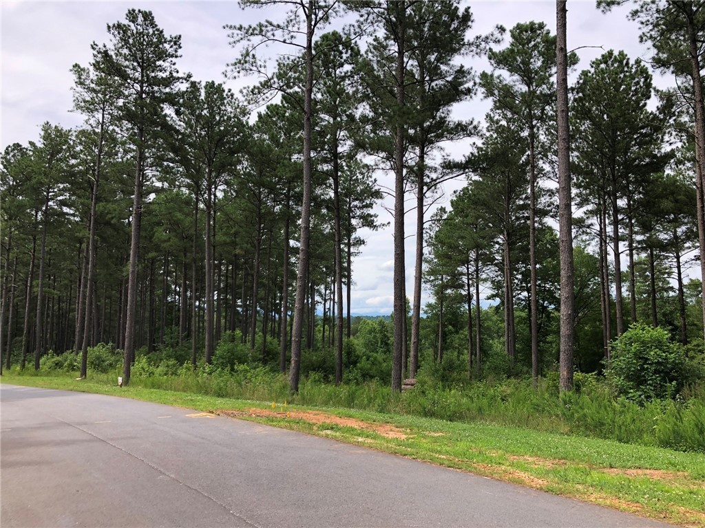 Lot 67 Harbor Point Road Seneca, SC 29672 - Photo 7 of 8 Gallery Image 7